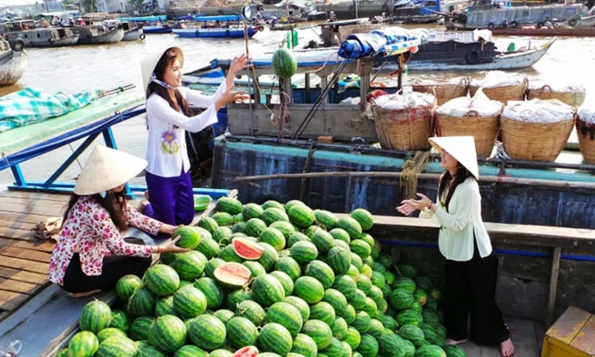 Những cô gái trên sông Cà Mau