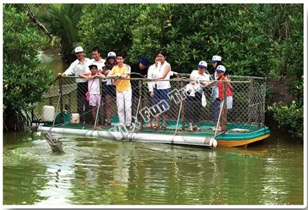 Du khách tham quan trại nuôi cá sấu Vàm Sát - Cần Giờ