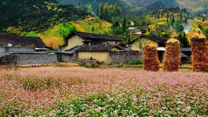 Thung Lũng Sủng Là