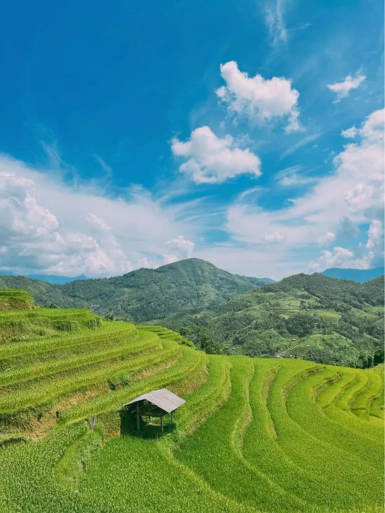 Hoàng Su Phì đẹp như tranh