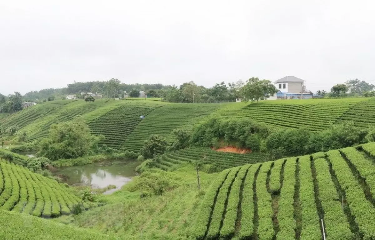 Cổng thông tin điện tử