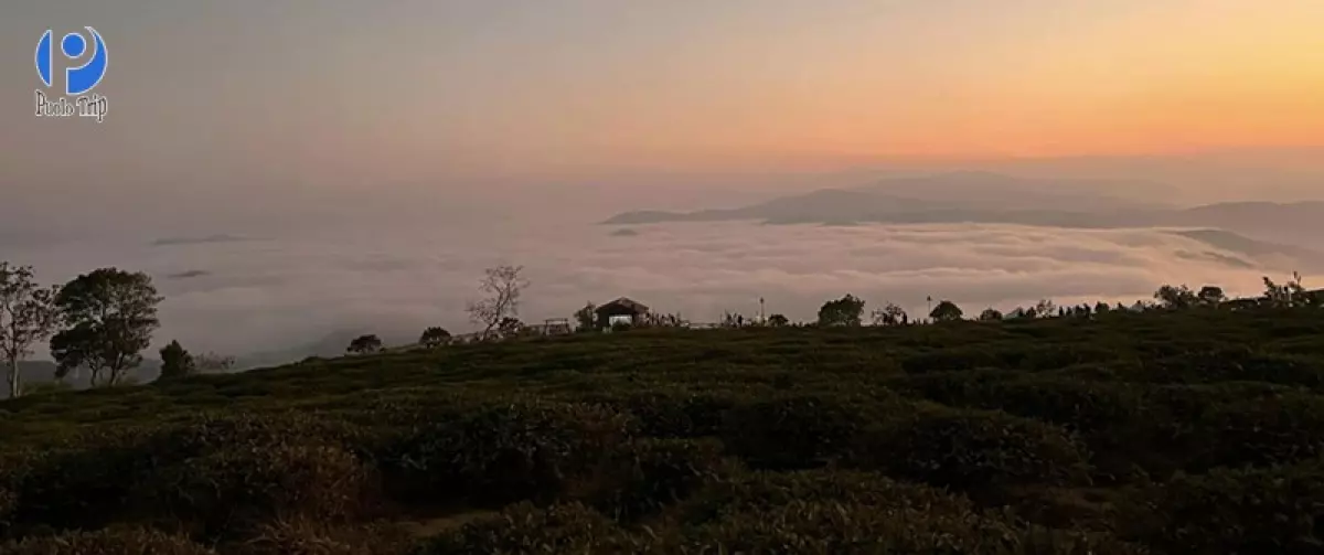 Tour An Giang - Đà Lạt