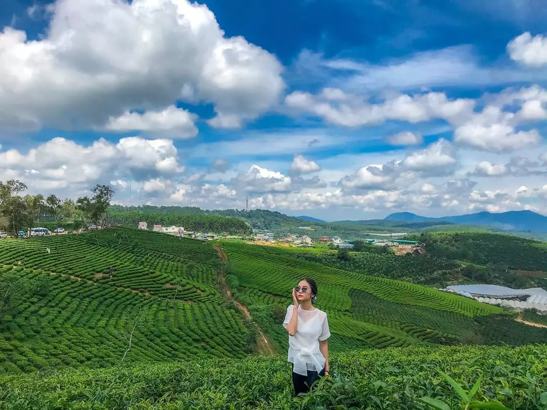 Du lịch Đà Lạt bằng máy bay Bamboo Airways