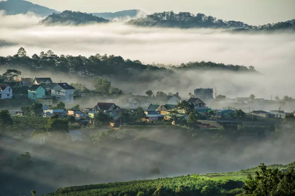 Làng hoa Vạn Thành 1