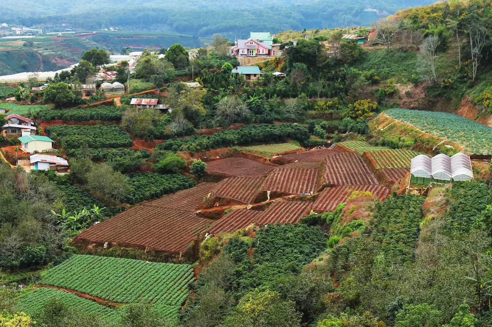 Nhà thờ Con Gà - Đà Lạt