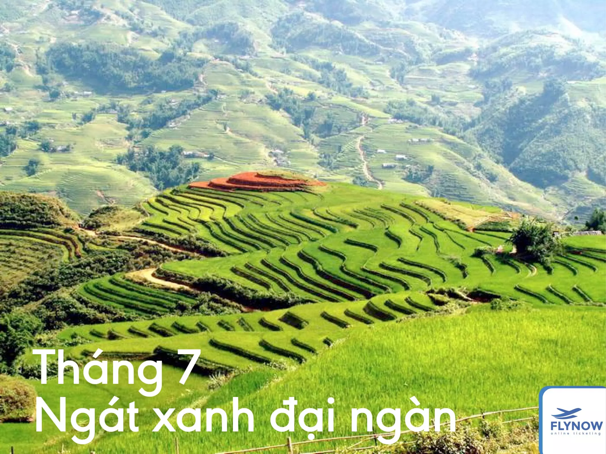 12 tháng ở Sapa