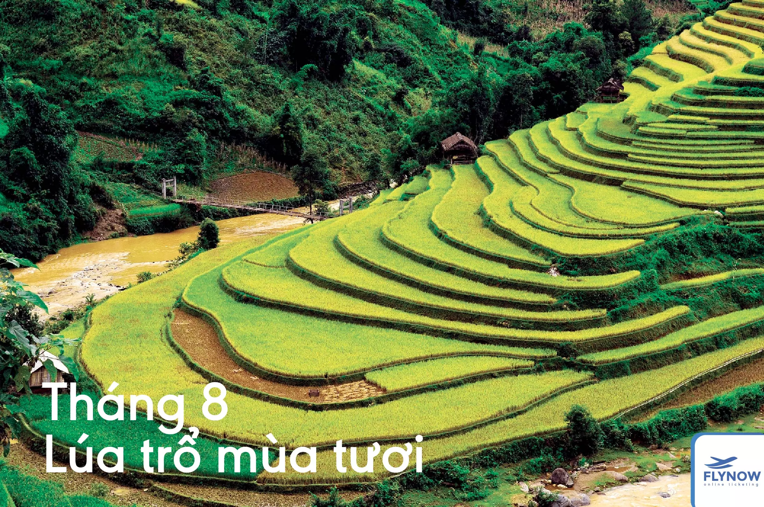 12 tháng ở Sapa