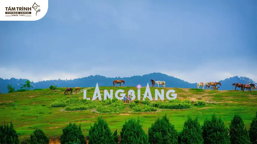 Núi Langbiang