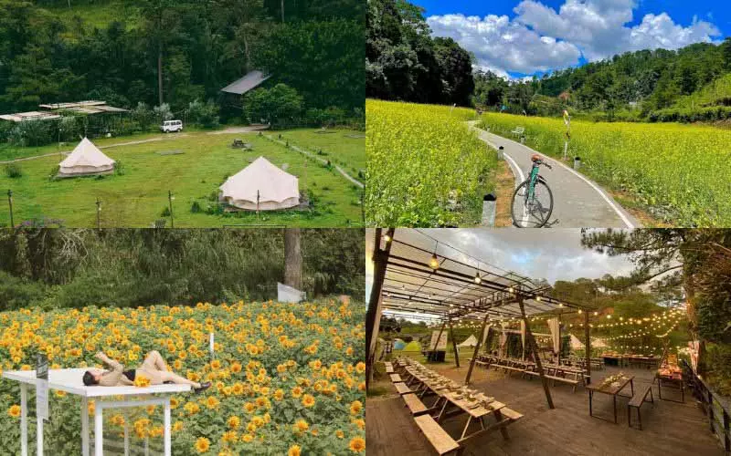 Đà Lạt Camp địa điểm check in vui chơi mới ở Đà Lạt