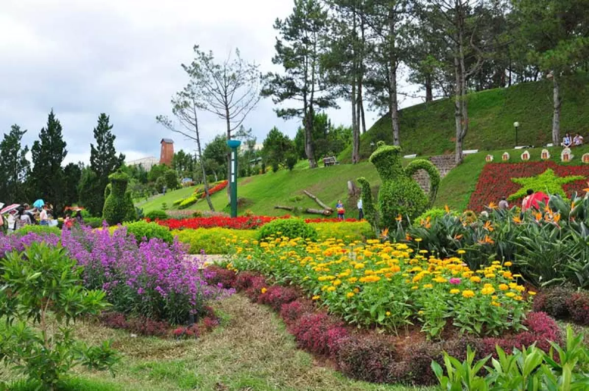 Đà Lạt Thành phố ngàn hoa - Những lý do tạo nên thương hiệu Đà Lạt Thành phố ngàn hoa