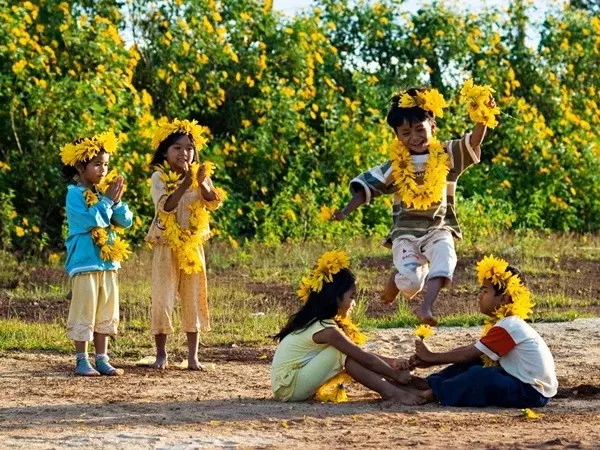 Sắc vàng rực rỡ về trên cao nguyên Đà Lạt