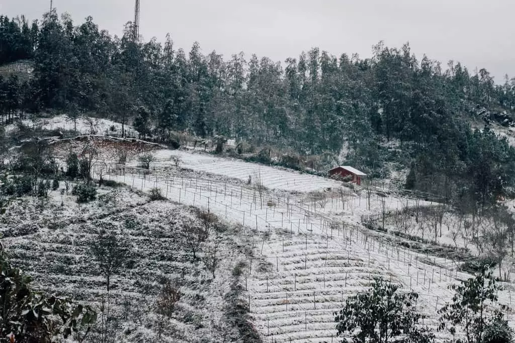 Sapa mà cứ ngỡ châu Âu. Hình: Dương Hải Ly