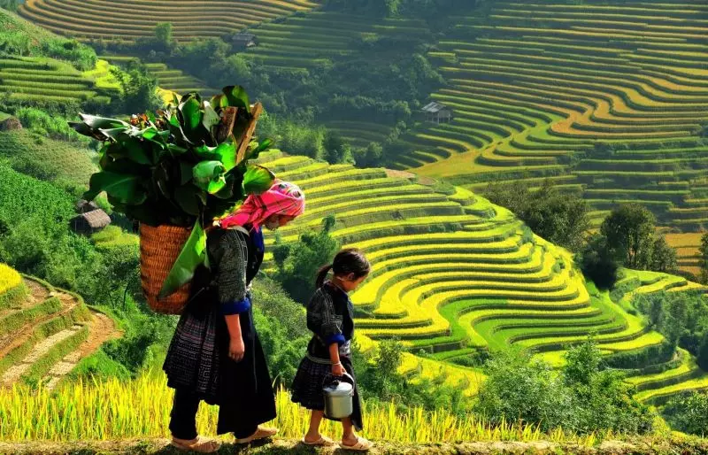 Những thửa ruộng bậc thang