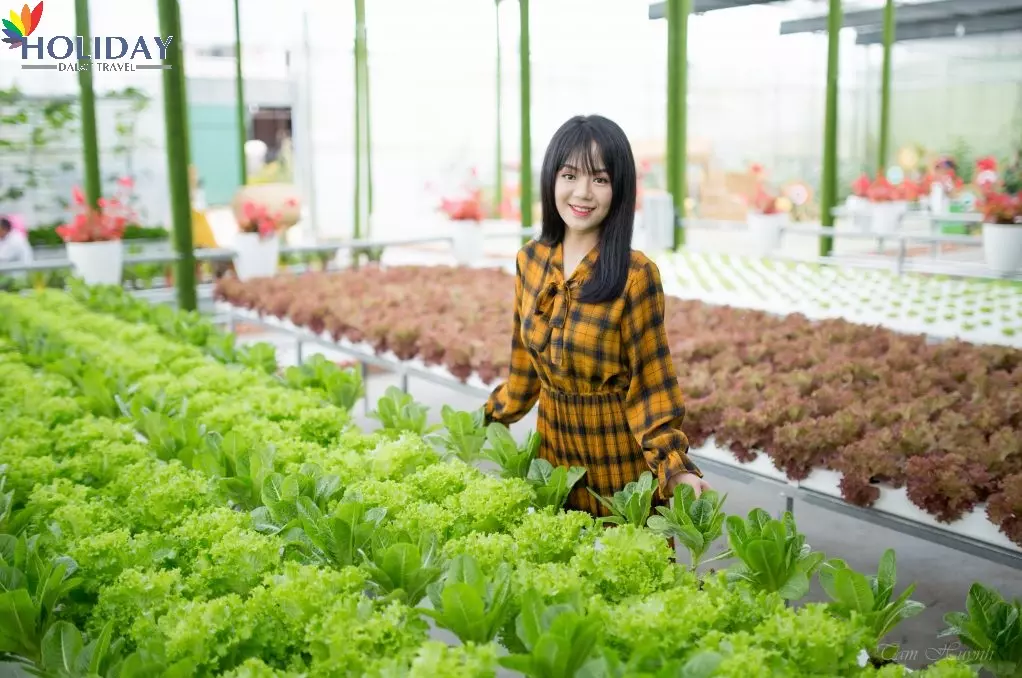 Fresh Garden Đà Lạt