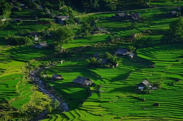 Ruộng bậc thang Tả Van