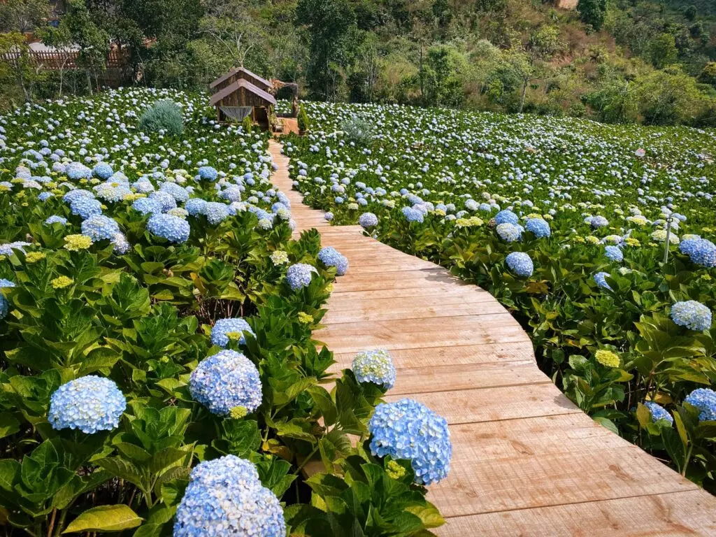 Happy Garden Đà Lạt