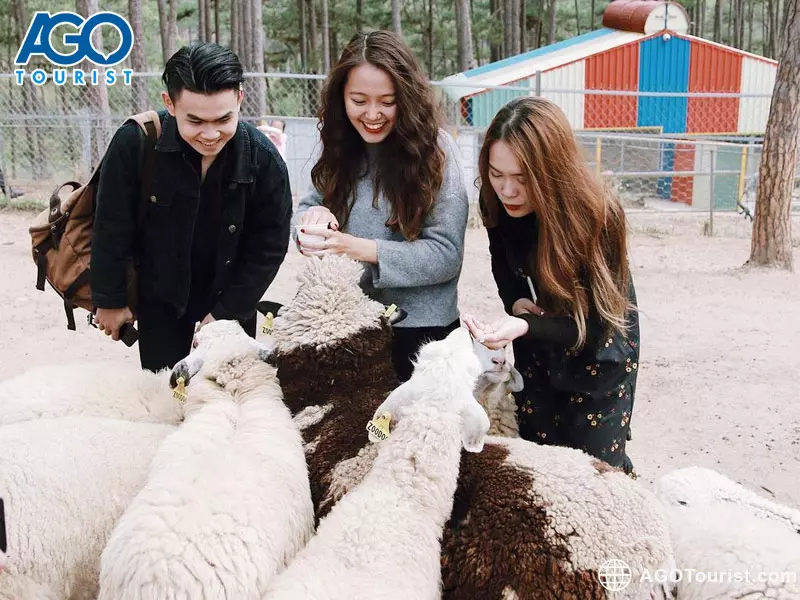 vườn thú ZooDoo Dalat