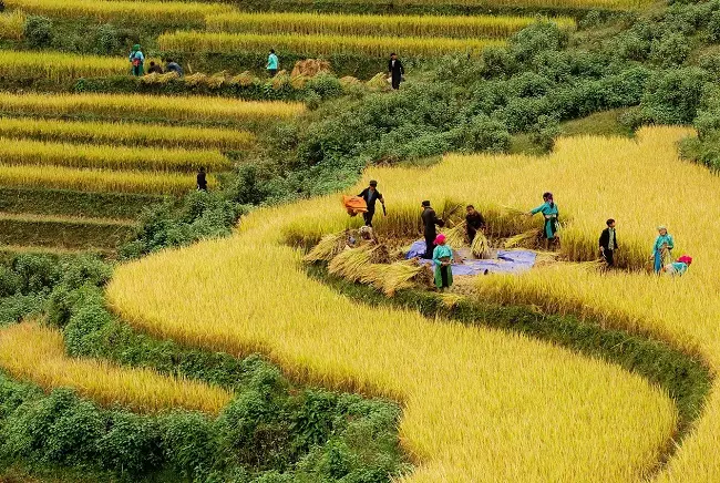 du lịch sapa