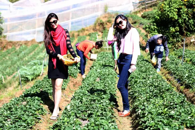 Tour Du Lịch Sinh Thái Đà Lạt