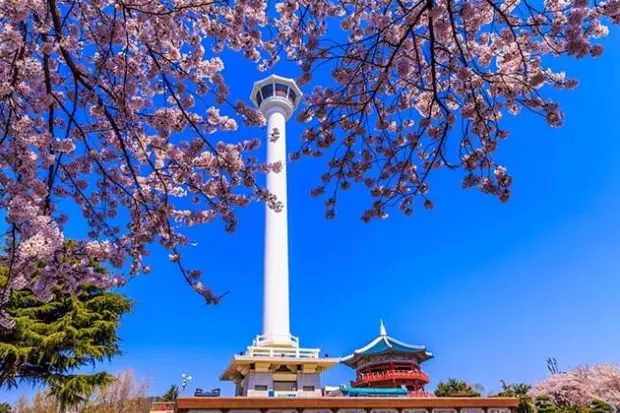 Du lịch Hàn Quốc - tháp Busan