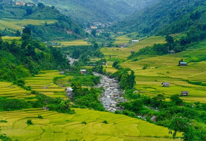 Sapa - Thành phố sương mù hấp dẫn du khách trong tháng 8