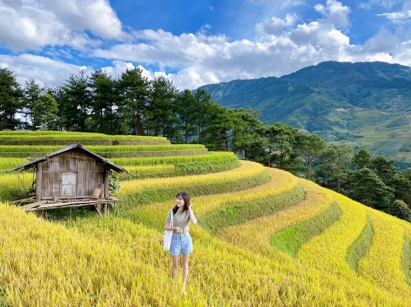 Chiêm ngưỡng “mùa vàng” tại Mù Cang Chải