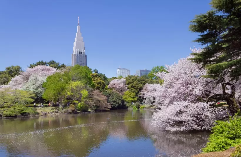 Cung điện Hoàng gia Tokyo