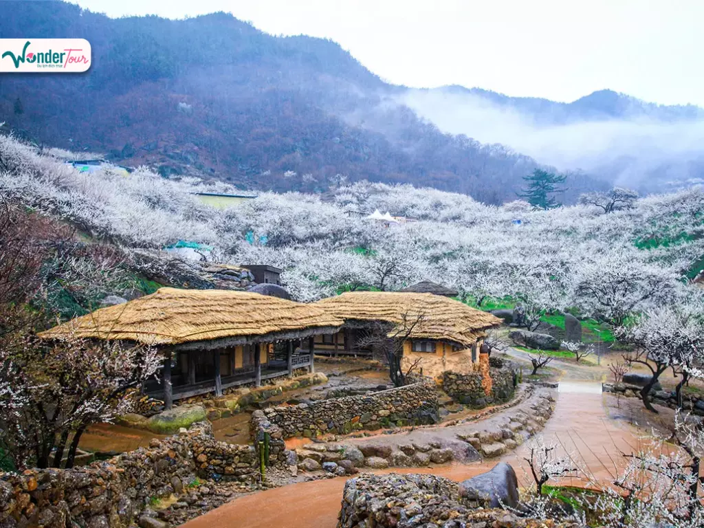 Làng Incheon Sansuyu