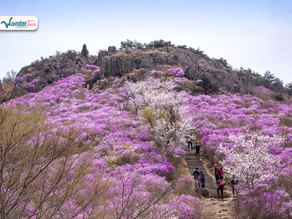 Núi Yeongchwisan