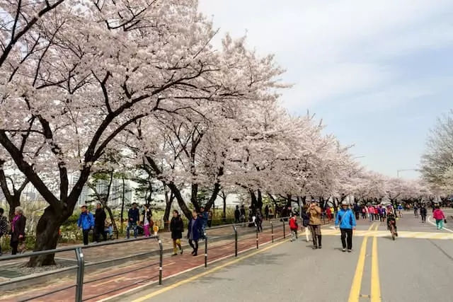 Công viên Yeouido