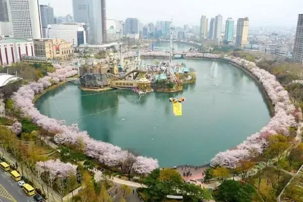 Những loài hoa ở công viên Incheon tạo cảnh tượng đẹp mắt