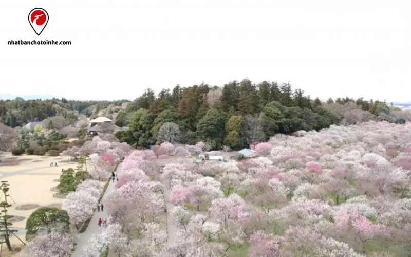 Kairakuen Garden