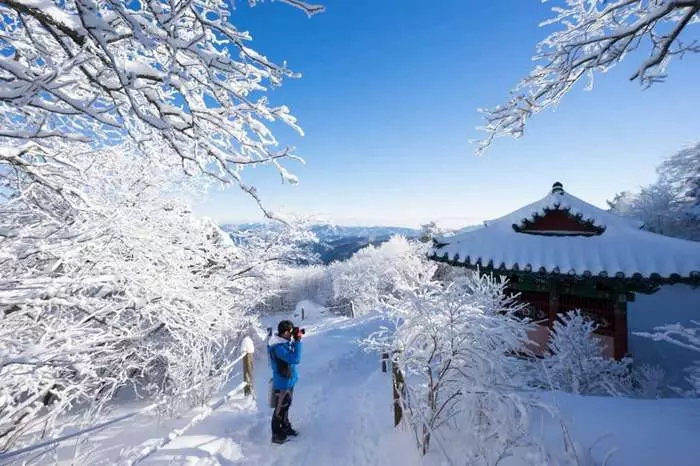 Cảnh trên đỉnh núi Taebaek
