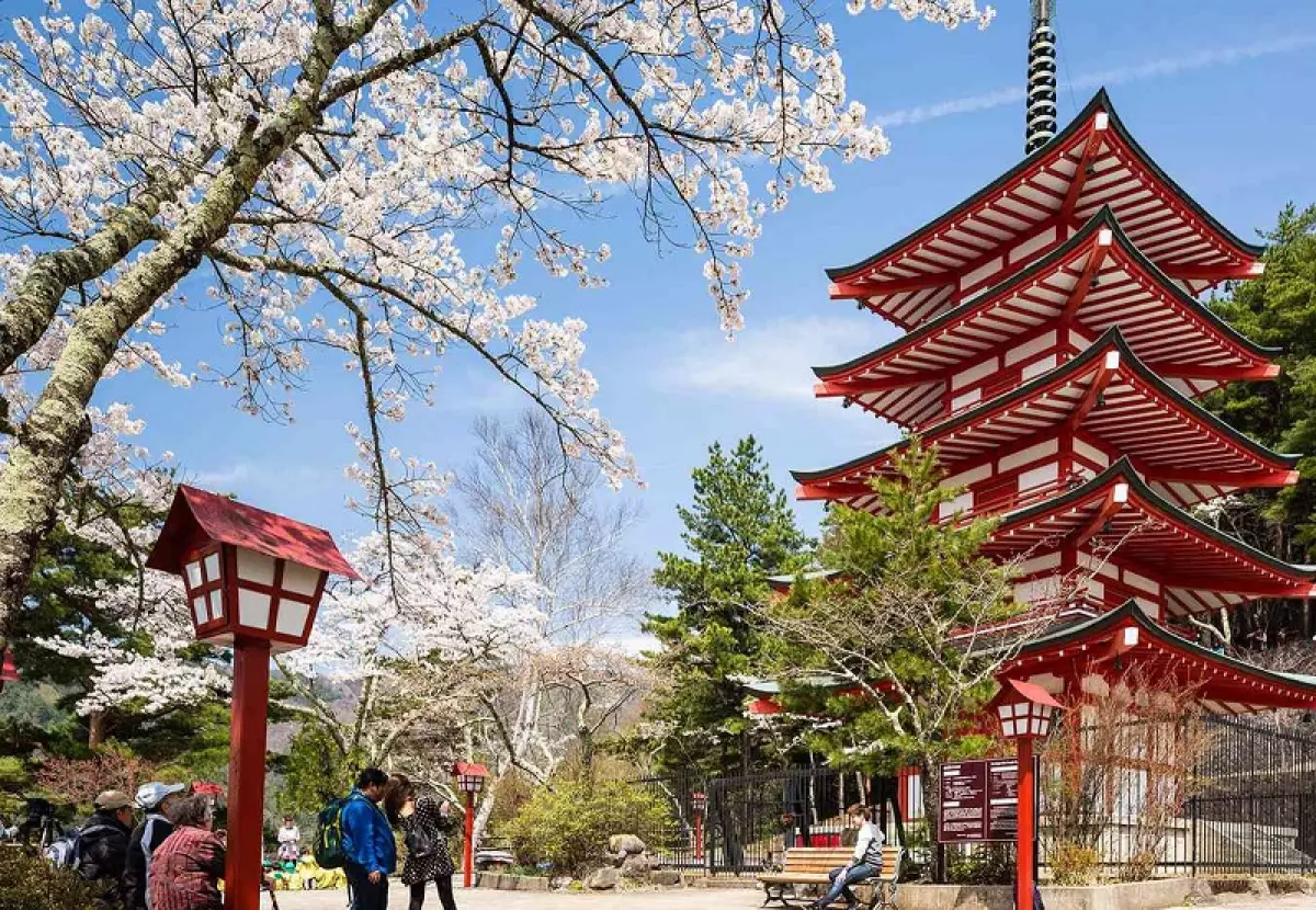 Kinh nghiệm du lịch Nhật Bản tự túc, tổng hợp mới nhất