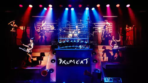 Drum Cat Show