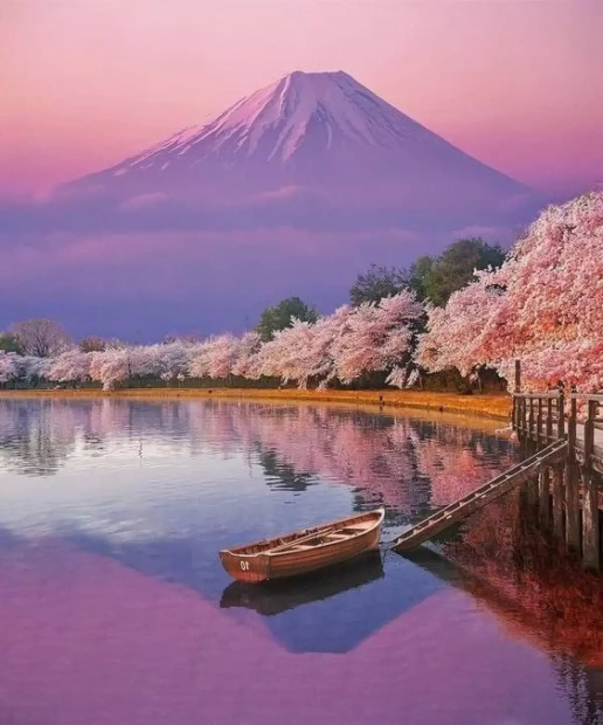 Núi Phú Sĩ mùa xuân