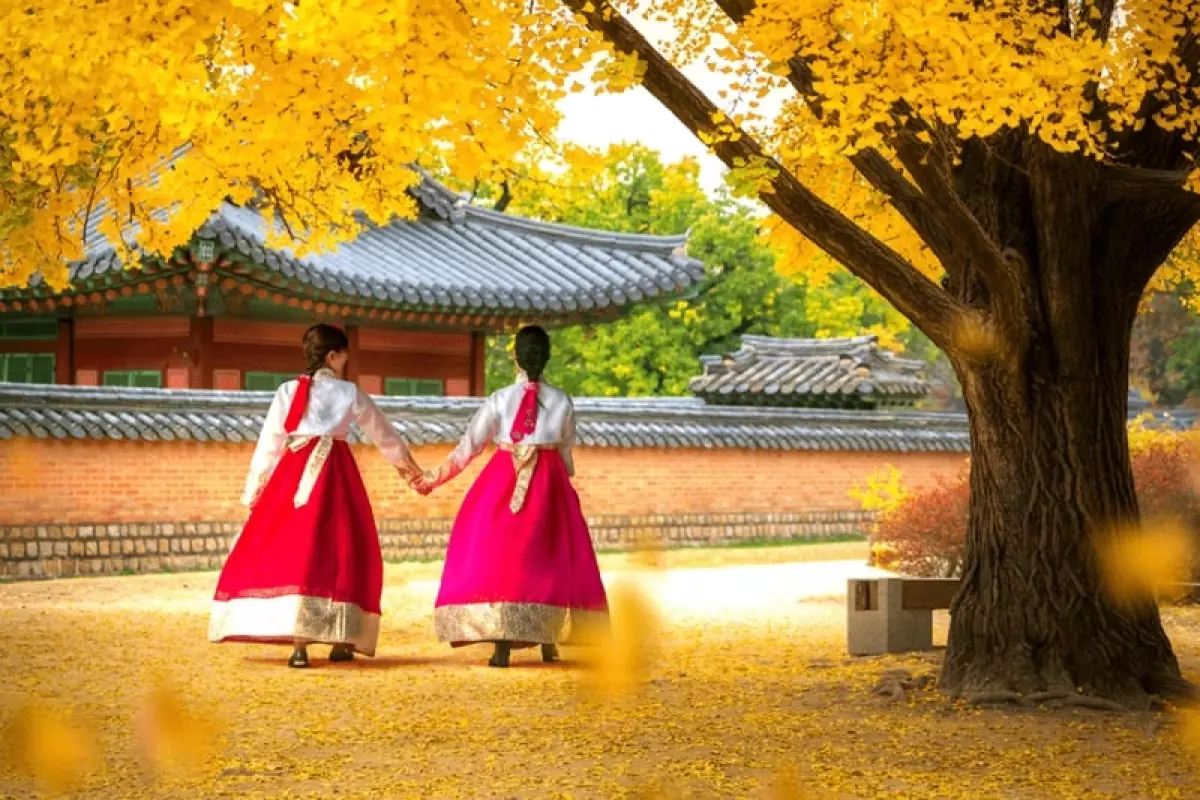 Mùa thu Hàn Quốc mang lại không khí lãng mạn khó cưỡng