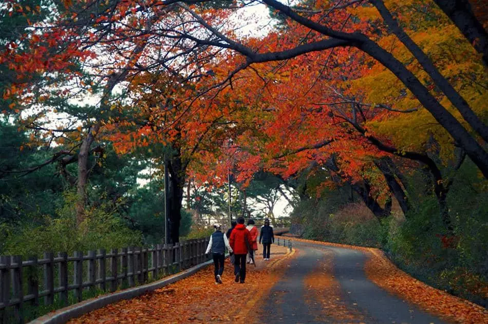 Công viên Namsan, Seoul
