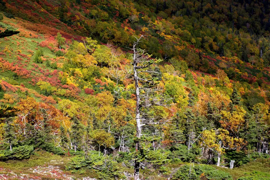 Asahidake - Nóc nhà của Hokkaido