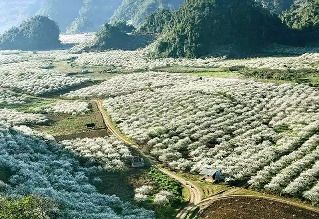 Vịnh Hạ Long, Quảng Ninh