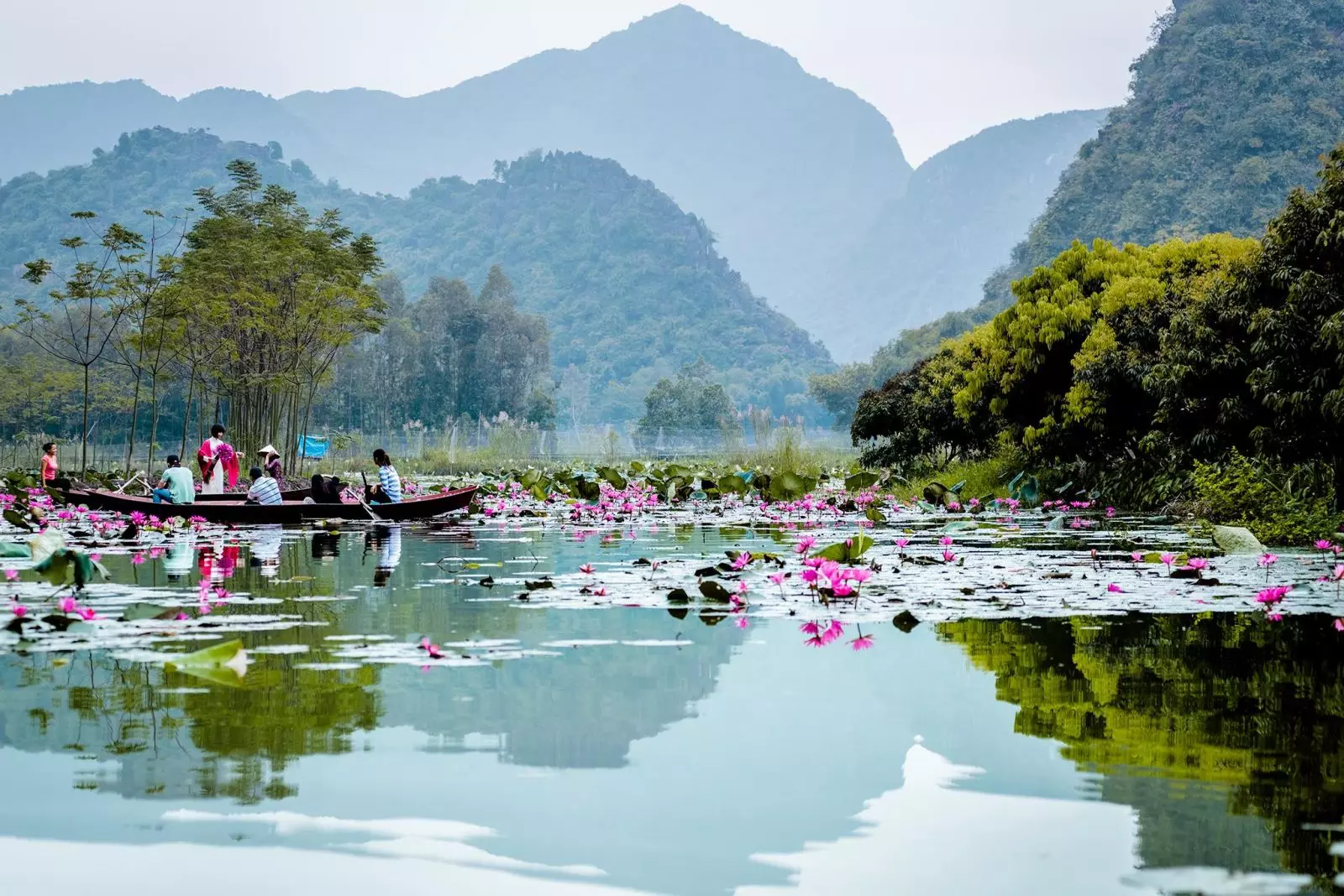 chua-huong-thuoc-tinh-nao