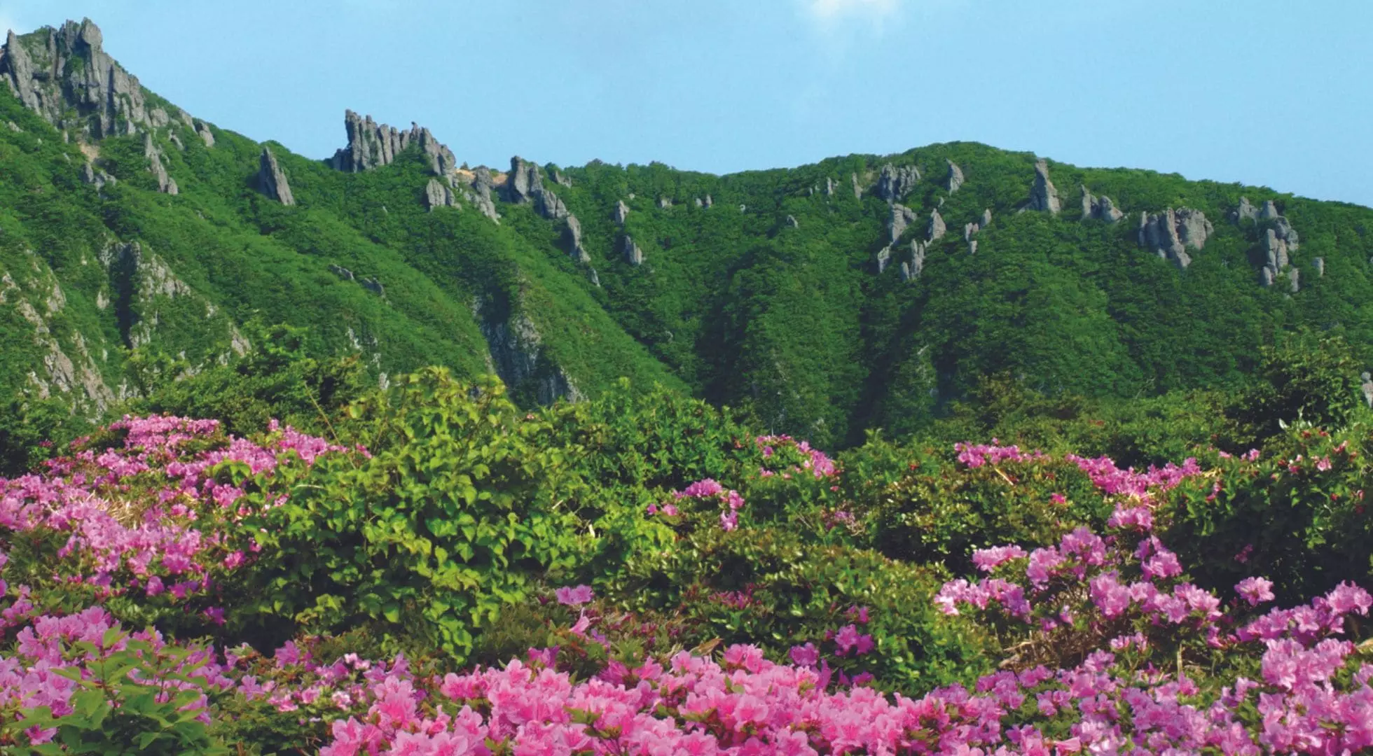 The peak of Mount Hallasan at the centre of Jeju Island boasts a scenic of the beautiful trails and aerial view of the entire volcanic island.