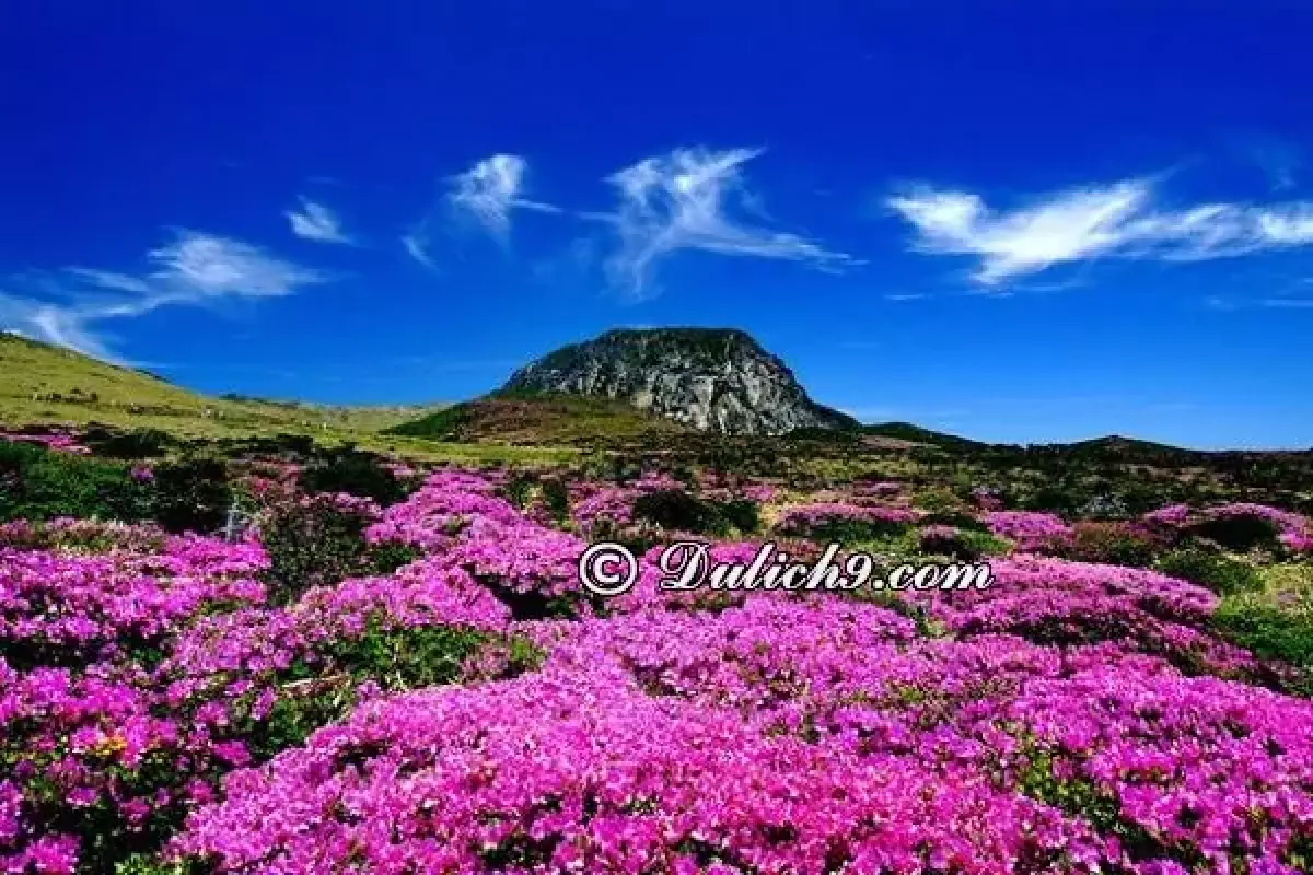 Danh lam thắng cảnh đẹp ở đảo Jeju