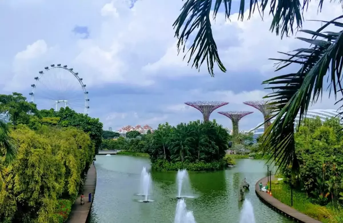 Địa điểm du lịch nổi tiếng ở Singapore không thể bỏ qua. Du lịch Singapore nên đi đâu chơi, tham quan? Gardens by the Bay Singapore