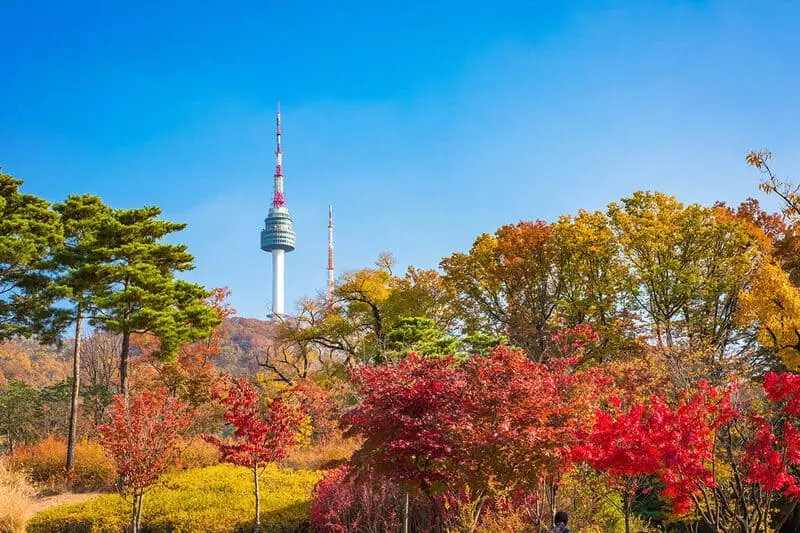 Ngắm Toàn Cảnh Thành Phố Từ Núi Namsan