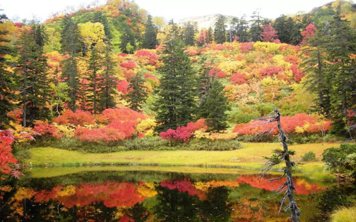 Núi Daisetsuzan, Hokkaido vào tháng 10