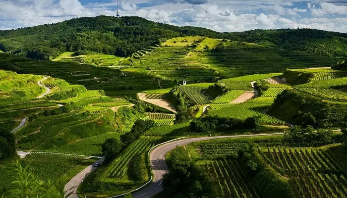 Tour Mộc Châu 2 ngày 1 đêm