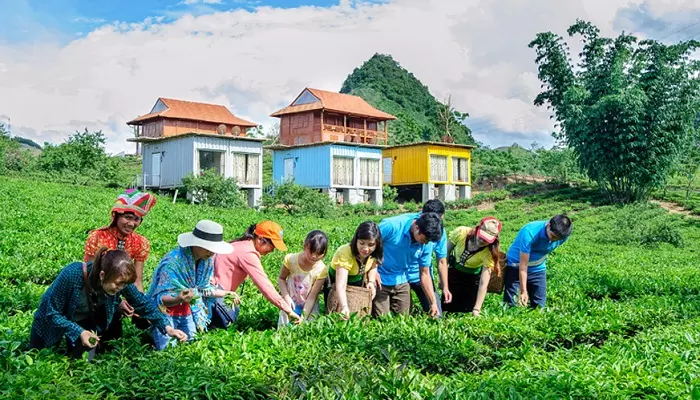 Tour Mộc Châu 2 ngày 1 đêm