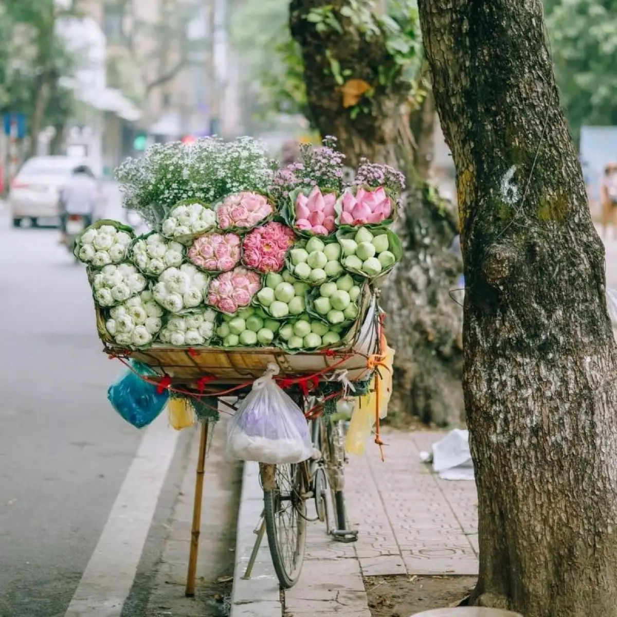 Gánh hoa Hà Nội mùa thu