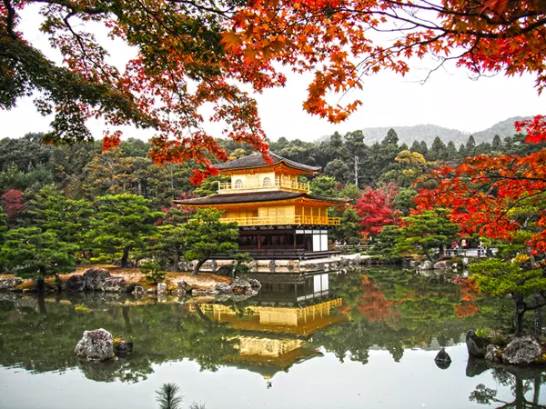 Đền Kinkakuji ở Kyoto